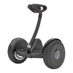 Segway-Ninebot S Zwart